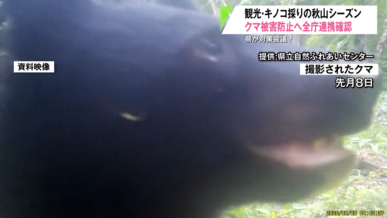 青森県内で今年クマ人身被害3件発生 10月のピークに備え全庁で防止対策