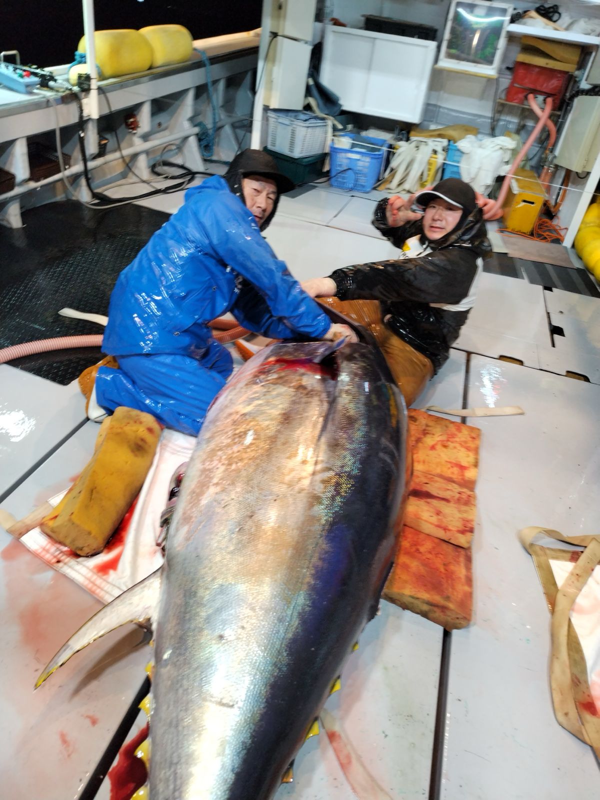 大間 マグロ 初 競り 漁師