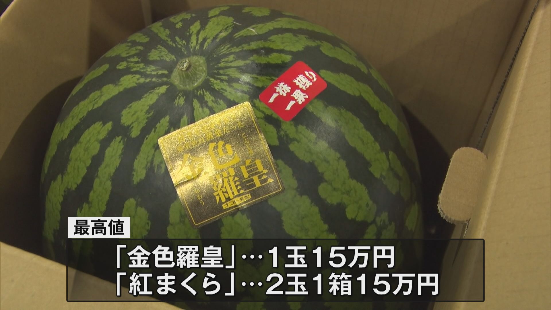 屏風山のスイカ 1玉15万円 初せり スイカの出荷は夏にピークを迎え9