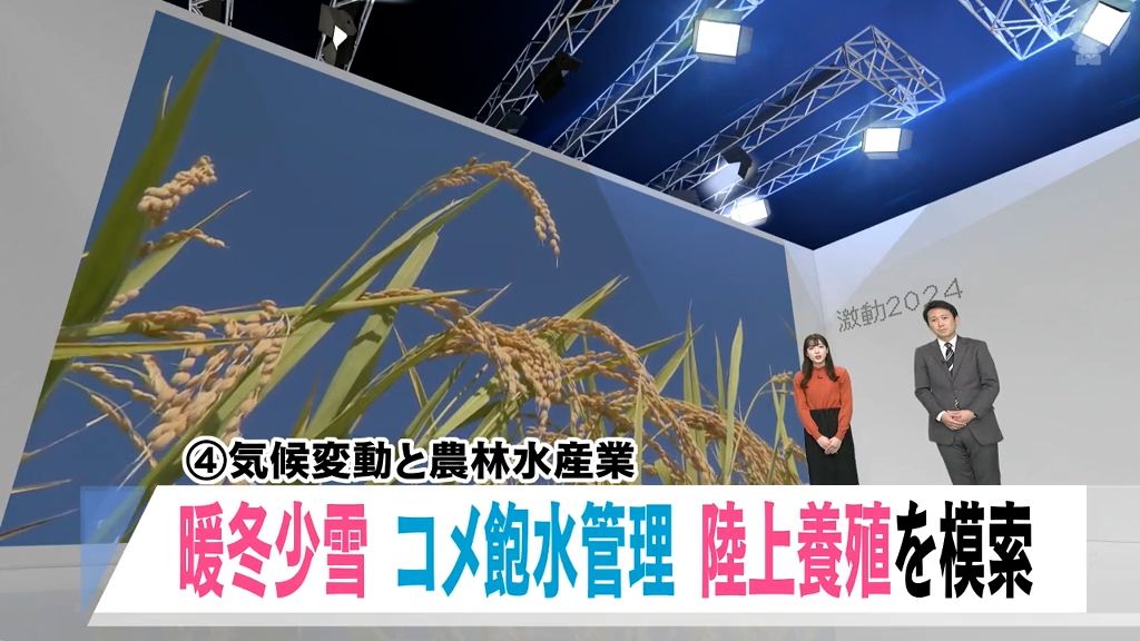 【青森県・激動2024】気候変動と農林水産業　気温の上昇が与えた影響は…「令和のコメ騒動」「大量へい死」「サケ不漁」　環境の変化への適応を模索