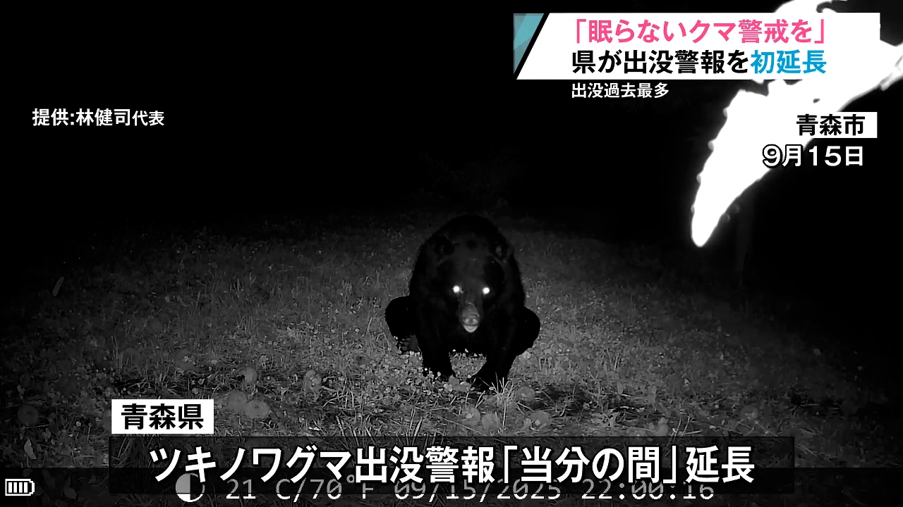 クマ出没警報を初めて延長“当面の間” 冬の間も冬眠しないクマに警戒を