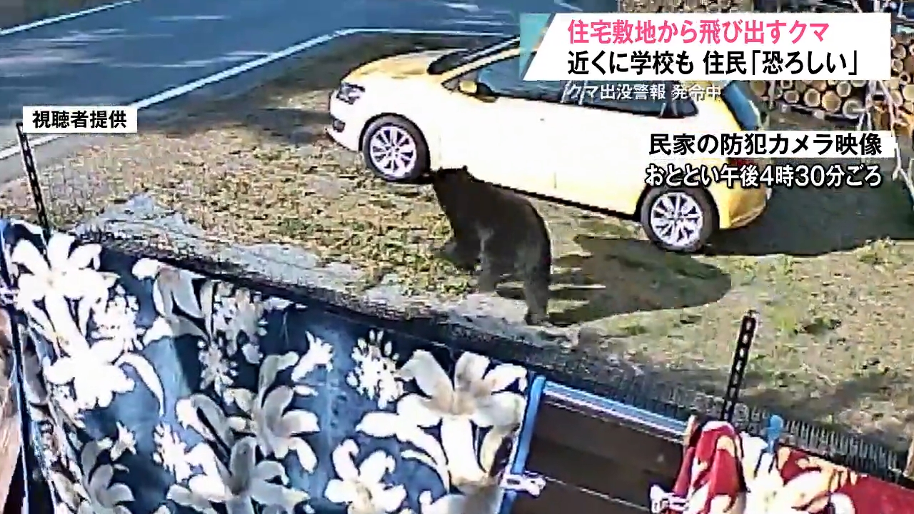 けっこう恐ろしい…」住宅敷地内を走るクマを防犯カメラが捉える！近く