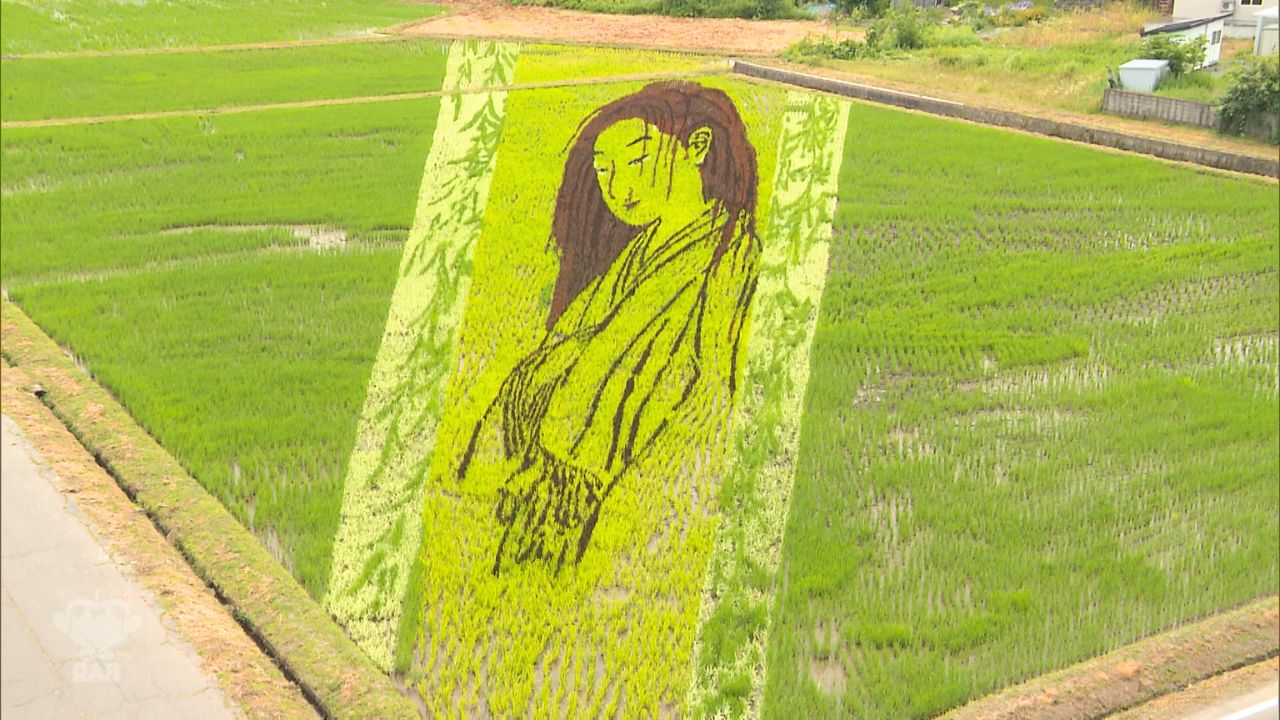 絵が動いているような…」“幽霊画”の田んぼアートが見ごろ！田舎館村第2