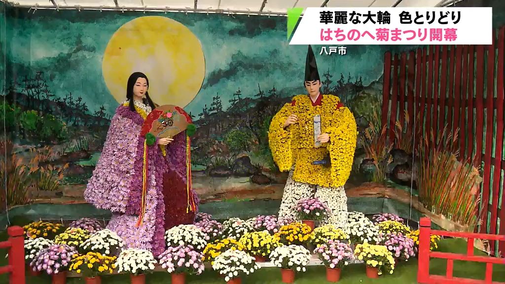 色とりどり346点…今年の菊人形は？　はちのへ菊まつりが開幕　青森県八戸市