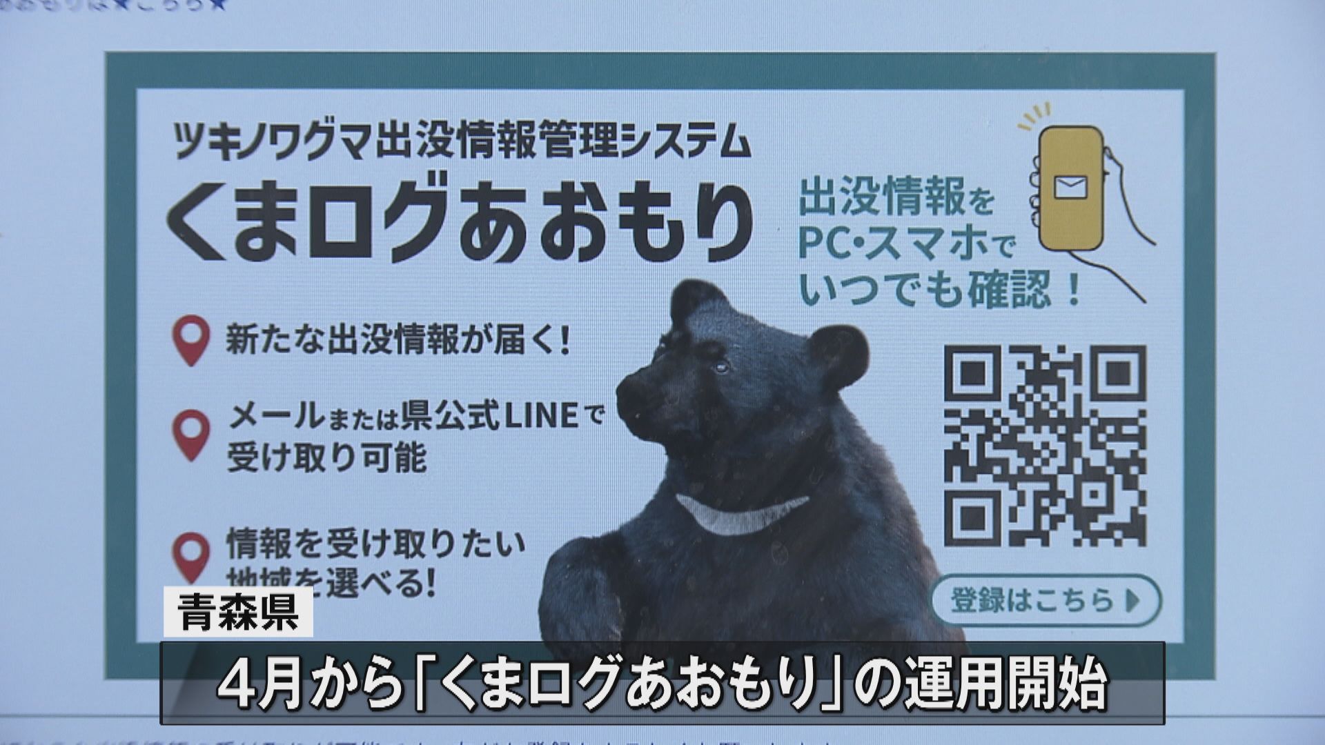 くまログあおもり」運用開始 クマの情報を自ら投稿 情報はメールやLINE