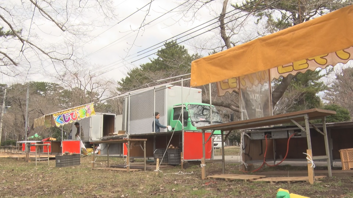 「金木桜まつり」は19日から“準まつり期間”に　早咲き対応で出店の準備進む　青森県五所川原市