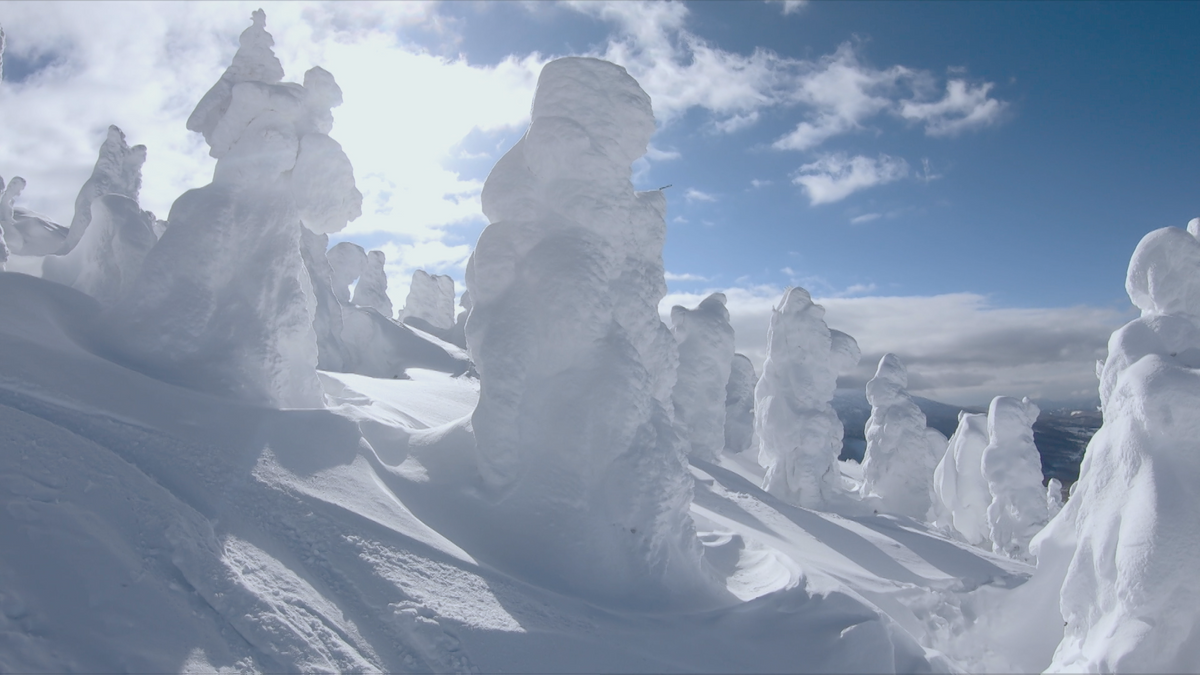 「春節」人気急上昇5位に青森県！今年のキーワードは“大雪”と“SNS”か！？国際線復活も影響