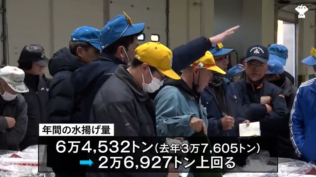 八戸港　年間の水揚げ数量６万４,５３２トン　イワシもサバも去年を大きく上回る