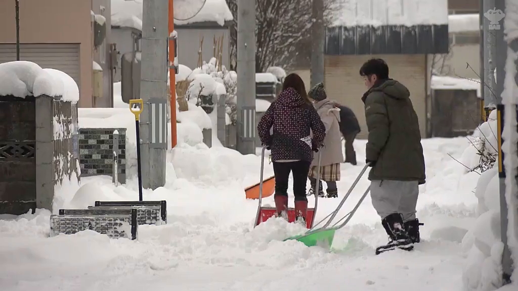 3連休最終日も雪で交通機関に影響 青森市で積雪50センチ超（2026年1月