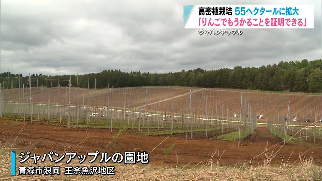 日本最大規模の55ヘクタール！りんご高密植栽培の巨大園地が誕生　青森市