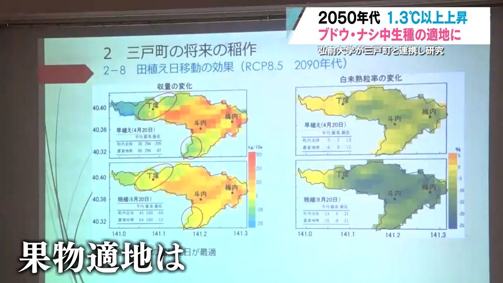 2050年代の三戸「ブドウやナシの適地に」弘前大学が温暖化の影響予測