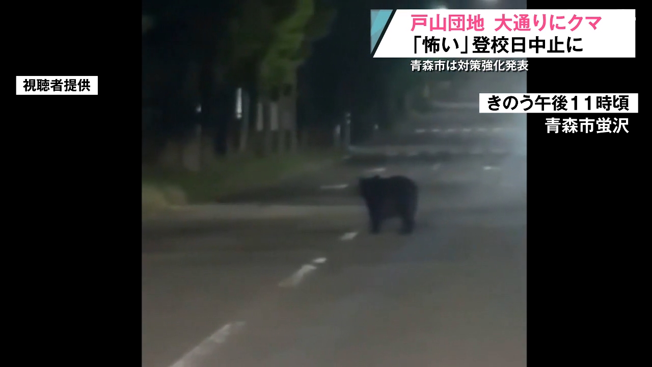 戸山団地クマ目撃 近くの小学校ではあすの登校日が急遽中止 夜中に堂々