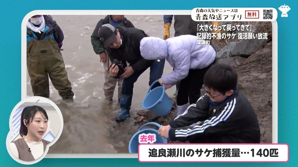「またたくさんとれるように」去年140匹しか獲れなかった“サケ”　資源回復願って子どもたちが稚魚放流　青森県深浦町