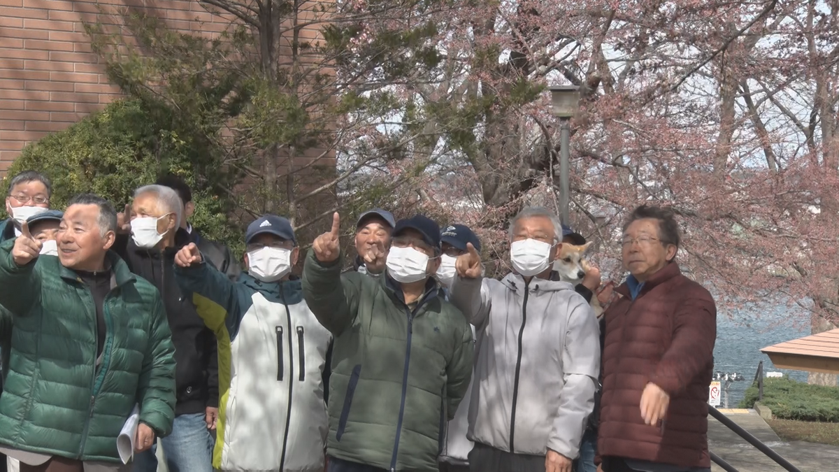 「一気に咲いてくるのでは」桜前線が到達！館鼻公園でソメイヨシノの開花を宣言　青森県八戸市
