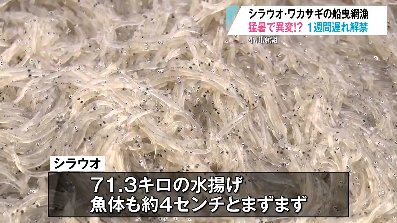 フェワ湖　NHJ 新プロジェクトX〜挑戦者たち〜 - NHK