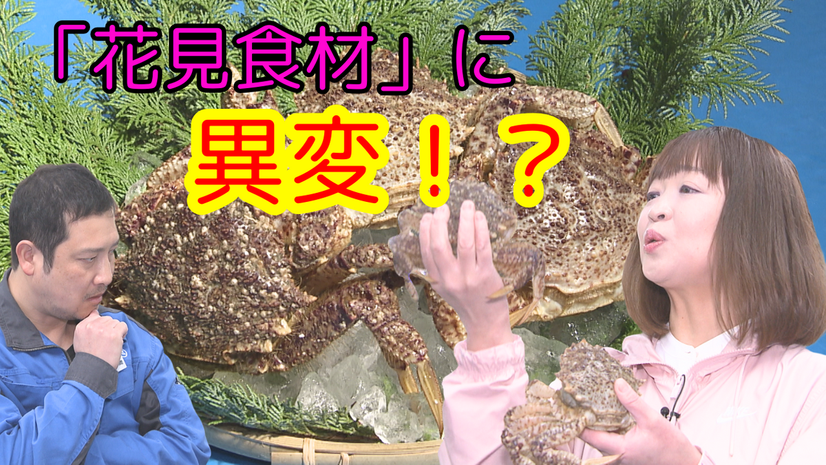 青森県民熱愛の“お花見に欠かせない食材”に異変！？「 こんなに少ないのは初めてです…」おなじみの光景が変わるかも