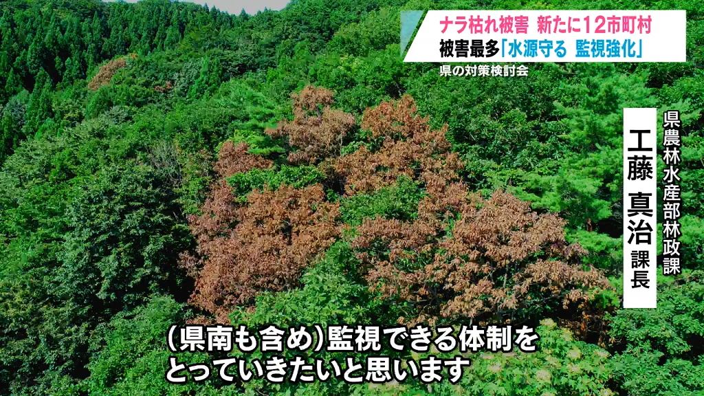 『ナラ枯れ』被害が拡大　過去最多の被害本数　原因は夏の気候？