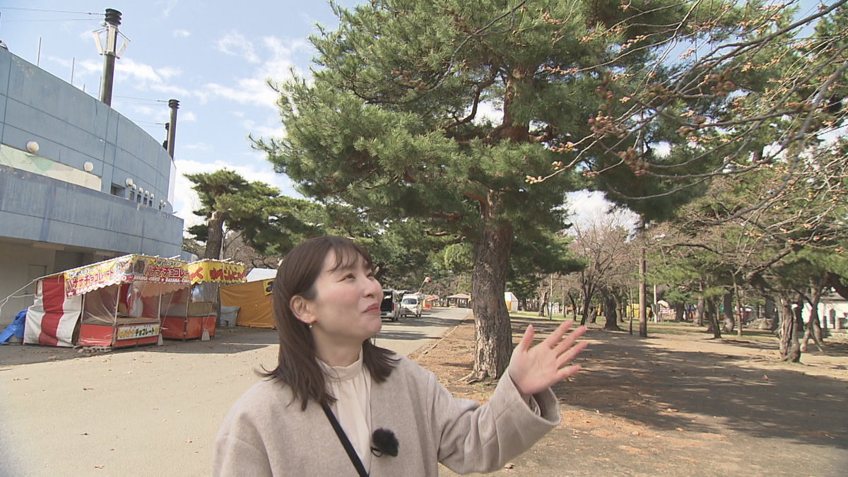 お花見の楽しみ方に変化　コロナ禍前に比べて○○と行く機会が減った！？