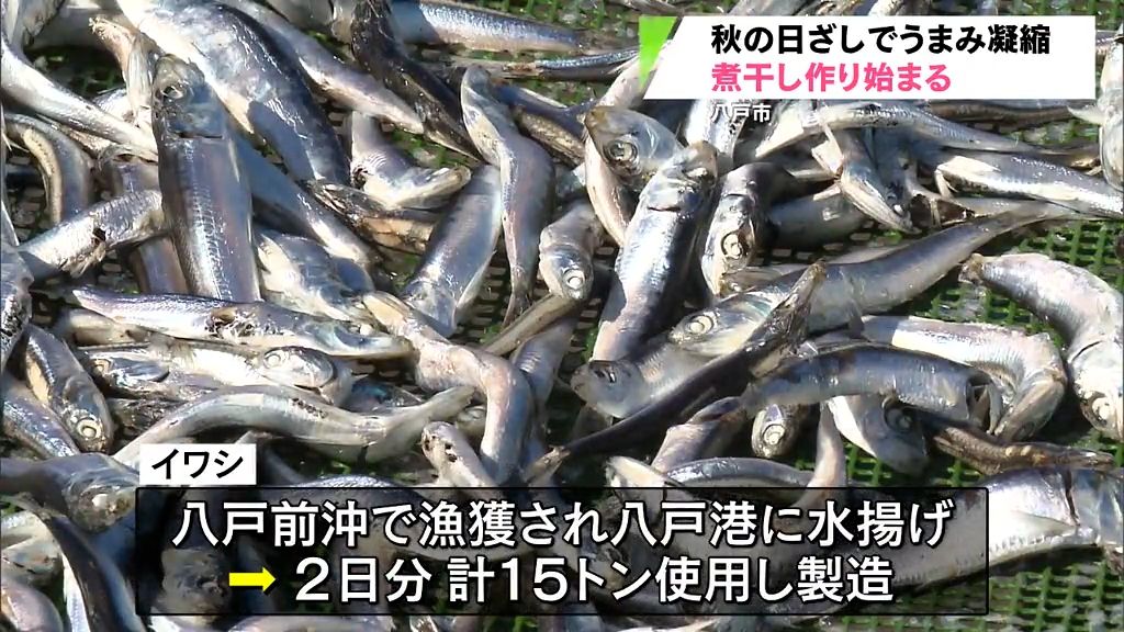 「寒暖差で良質の煮干しできる」うまみ増す　イワシの煮干しづくり　青森県八戸市