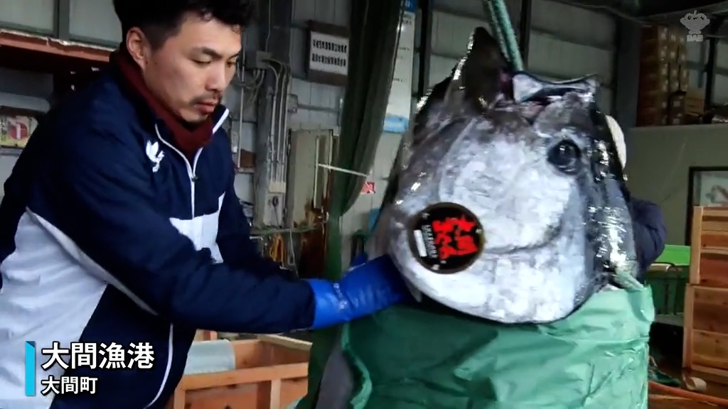 初競り一番マグロ2026 | 趣味と日常のお話