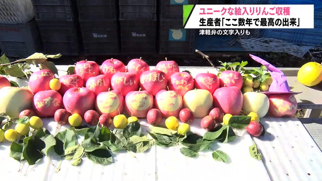 じゃわめぐ」りんご？ 津軽弁や表情入りの絵入りりんごが完成 青森県