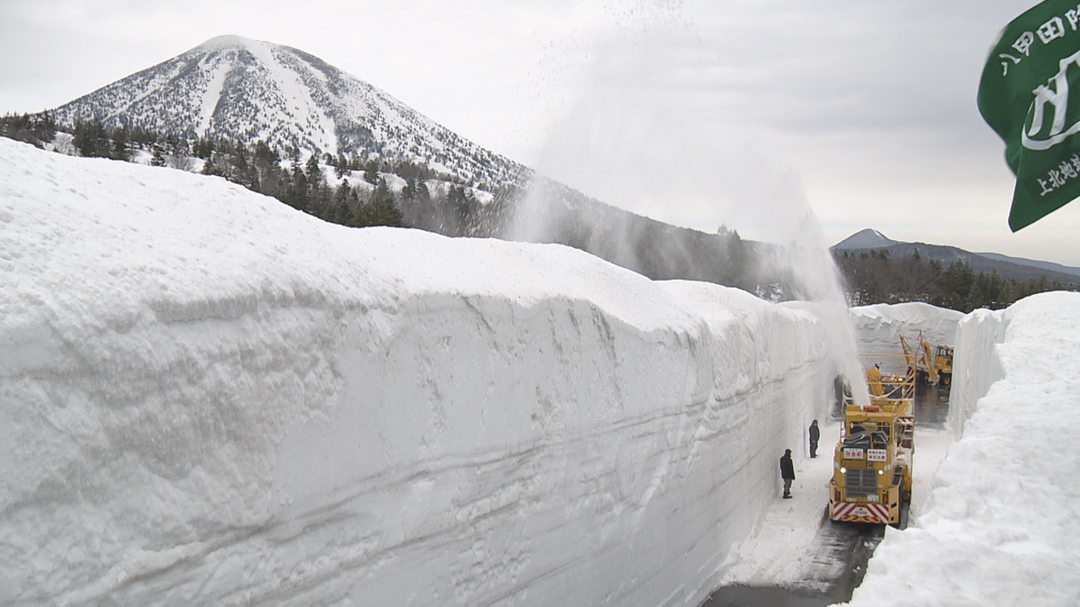 森の画廊「北の雪原」 高さ8m越え!? 超巨大な雪の回廊 | 青森びいき