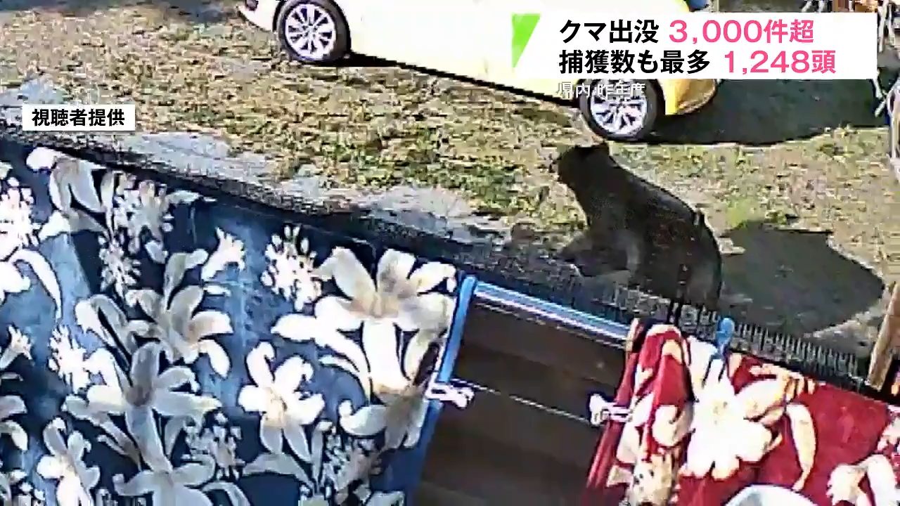 クマ出没は過去最多3334件で青森県が全国5番目の多さに 捕獲数も過去