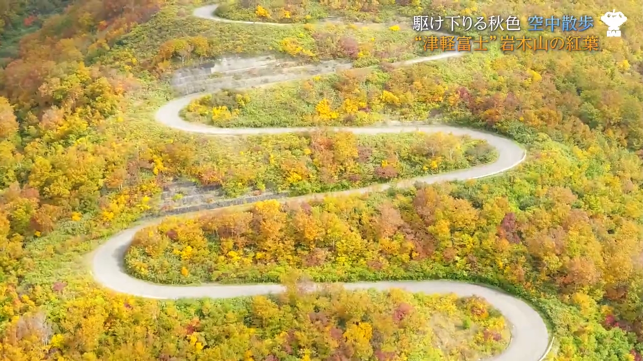 錦秋】山肌駆け下りる津軽富士の“秋色” つづら折りの津軽岩木