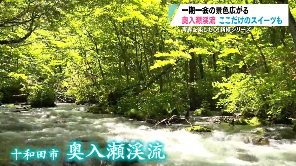 【特集】青森を楽しもう！新緑シリーズ⑥一期一会の景色広がる奥入瀬渓流