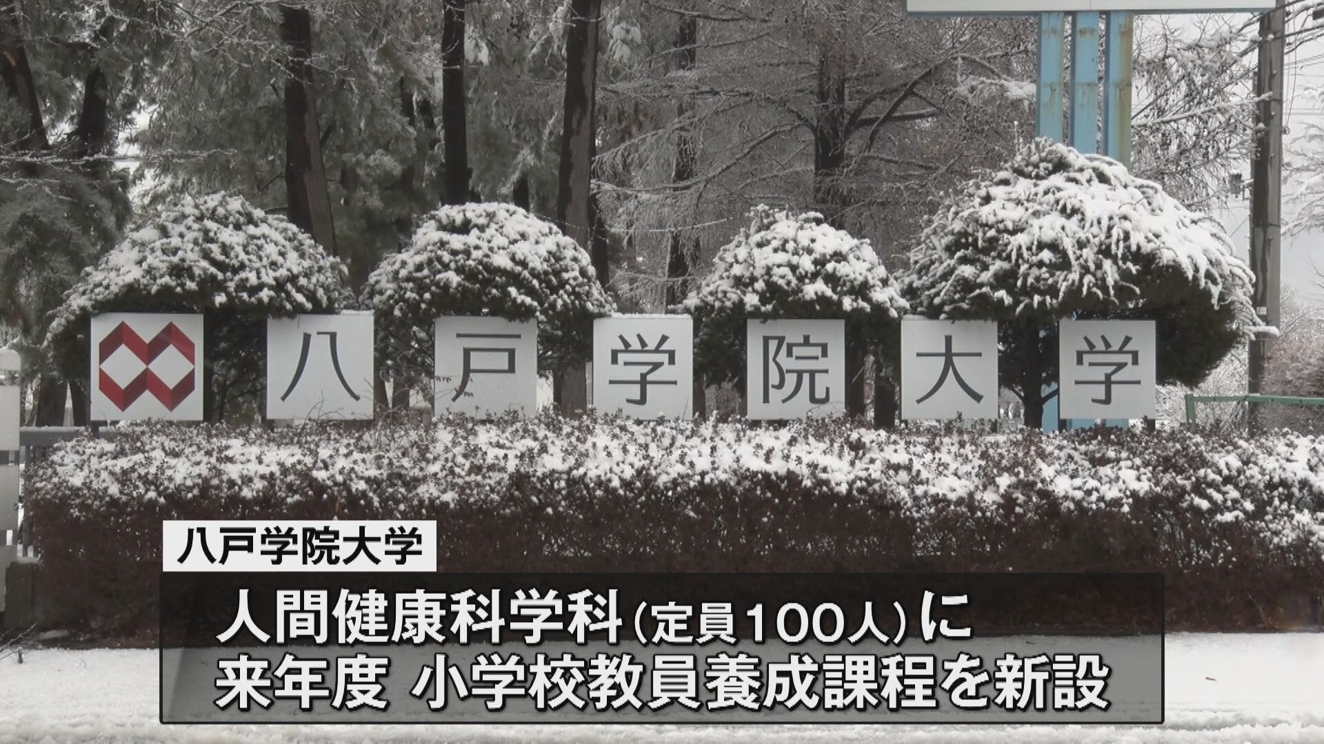 来年度から小学教諭養成課程新設 八戸学院大学人間健康科学科 来年度の