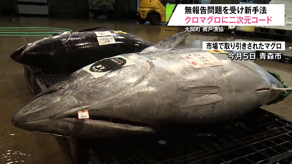 マグロの“プロフィール”がわかる！ 県内初の二次元コード導入で価値