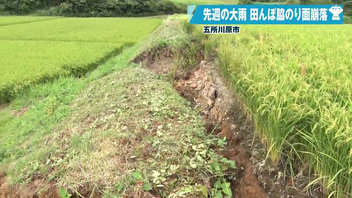大雨で田んぼ脇ののり面が15メートルにわたって崩れる被害を確認 青森県五所川原市（…