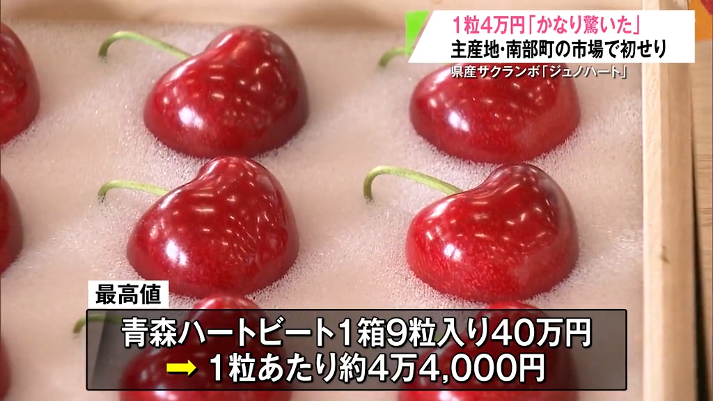 最高値は「1粒4万円」 サクランボ「ジュノハート」の主産地で初せり