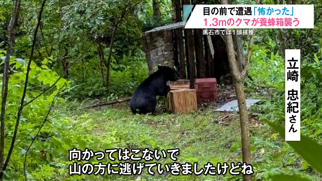 クマにハチミツ5キロ食べられる ニワトリ45羽被害の養鶏場近くでは1頭