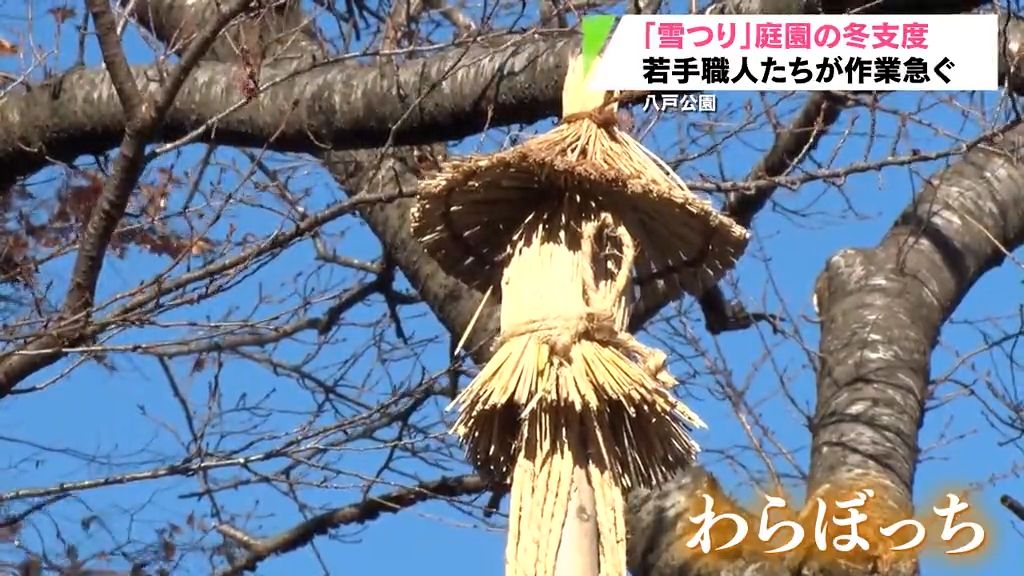 先端には「わらぼっち」　湿った雪の重さから木を守る“雪つり”で冬の装い