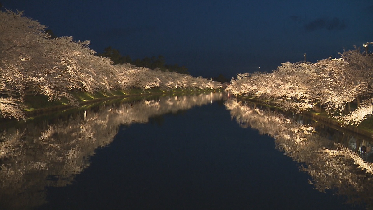 「納得です」桜の名所ランキングで“弘前公園”が3年連続1位達成！開幕まで1週間の“さくらまつり”に期待高まる