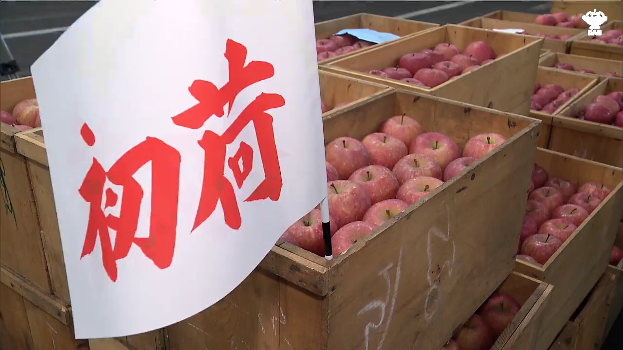 なぜ高い？弘前のりんご初せりでサンふじ最高値更新（2026年1月5日掲載