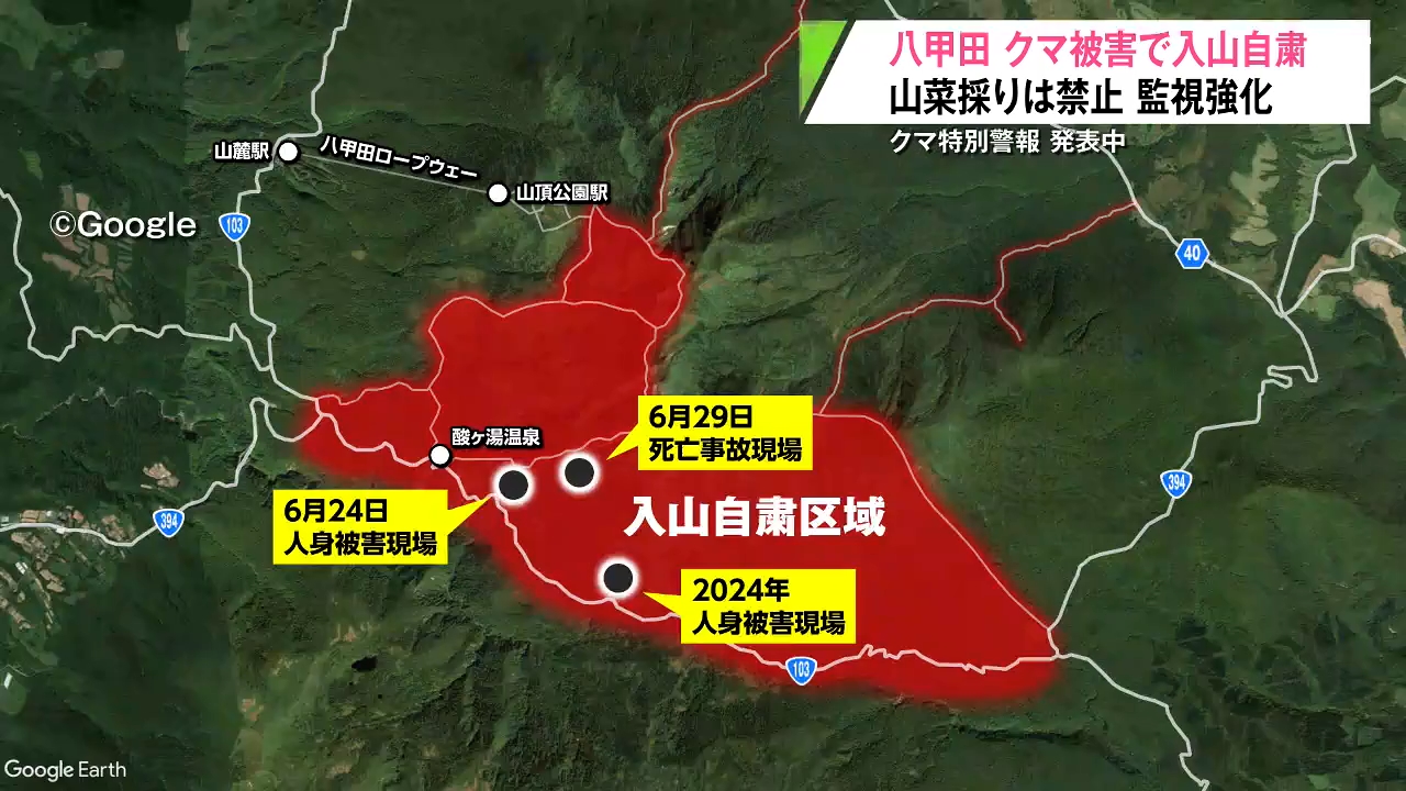 八甲田 クマ被害で入山自粛を要請 箱わなを増やし人を襲ったクマの捕獲