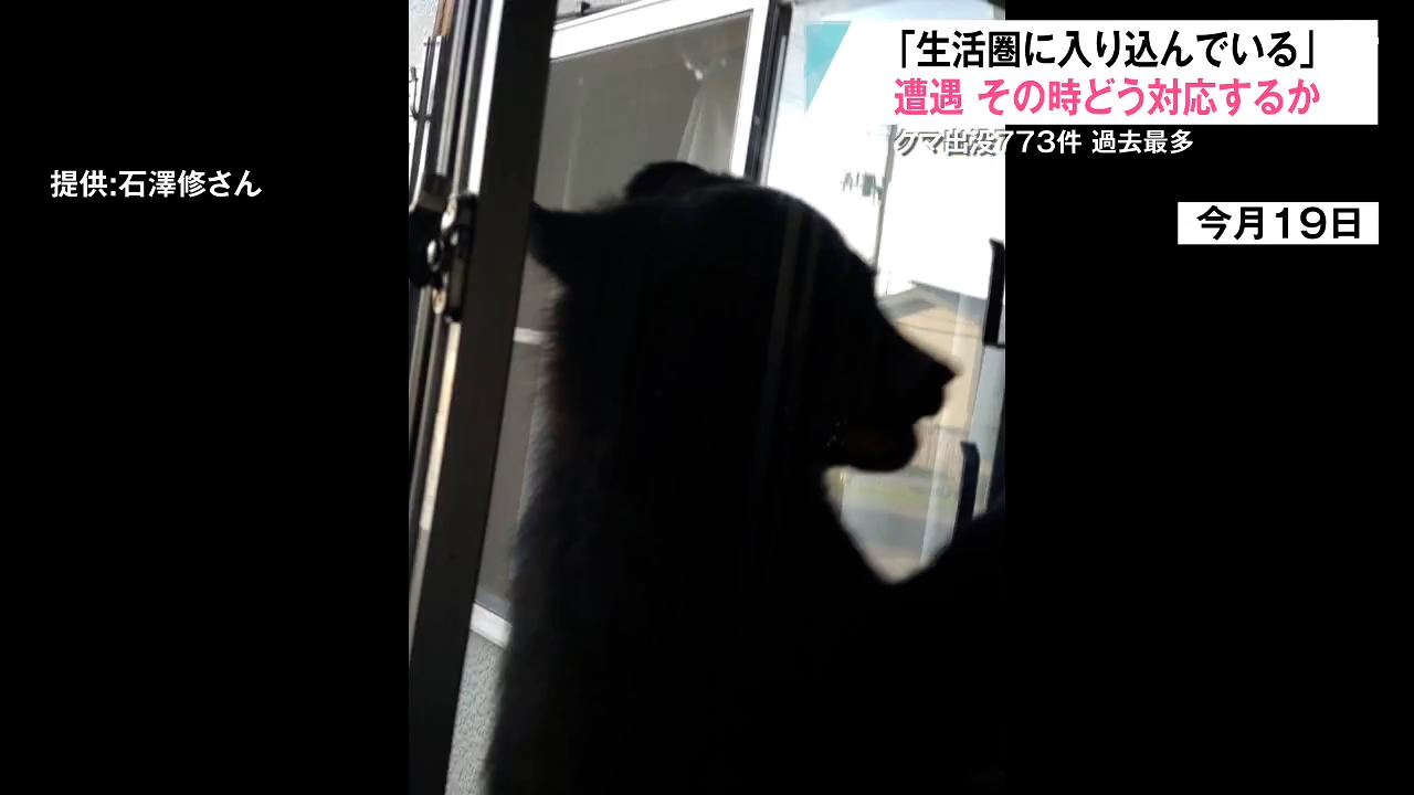 1.8メートルの窓にも…生活圏での目撃相次ぐクマ 専門家が「呼び寄せて