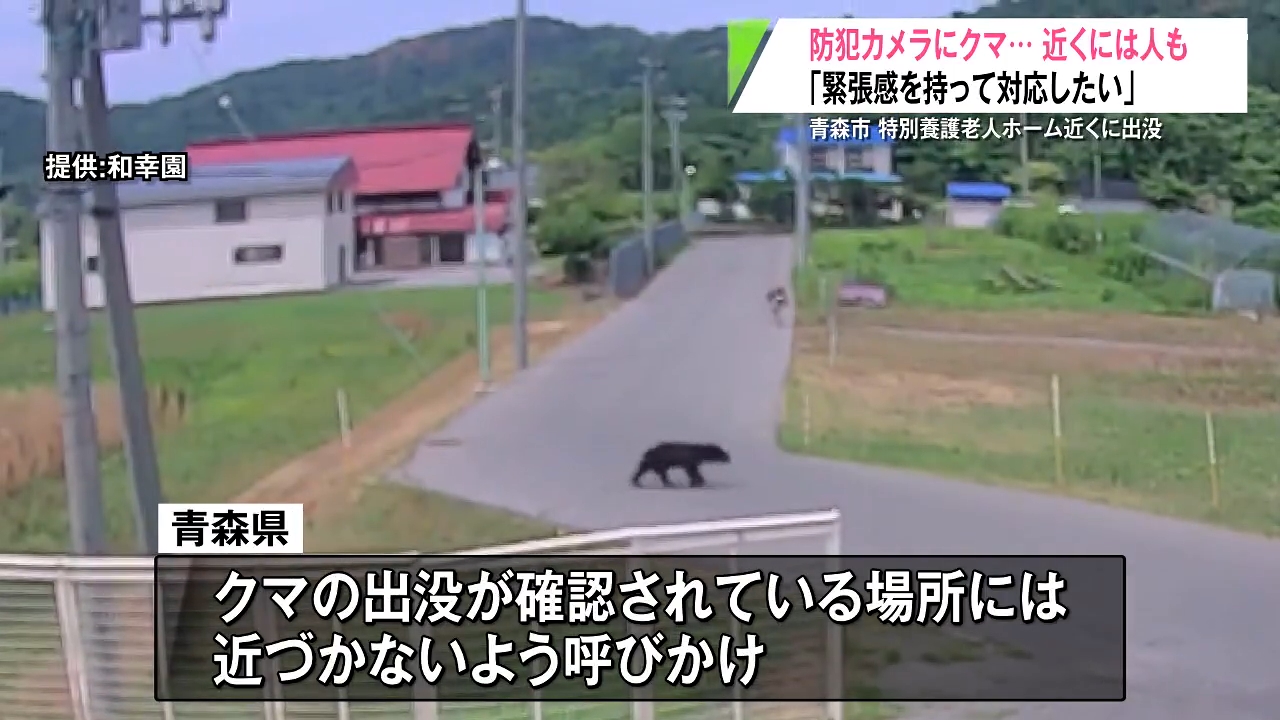 衝撃的でした」特別養護老人ホームの近くに現れたクマの姿を防犯カメラ