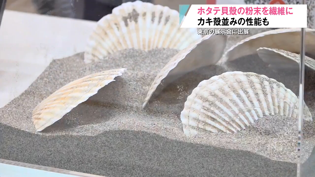 廃棄される陸奥湾産ホタテの貝殻で繊維開発 むつ市の企業が東京ビッグ