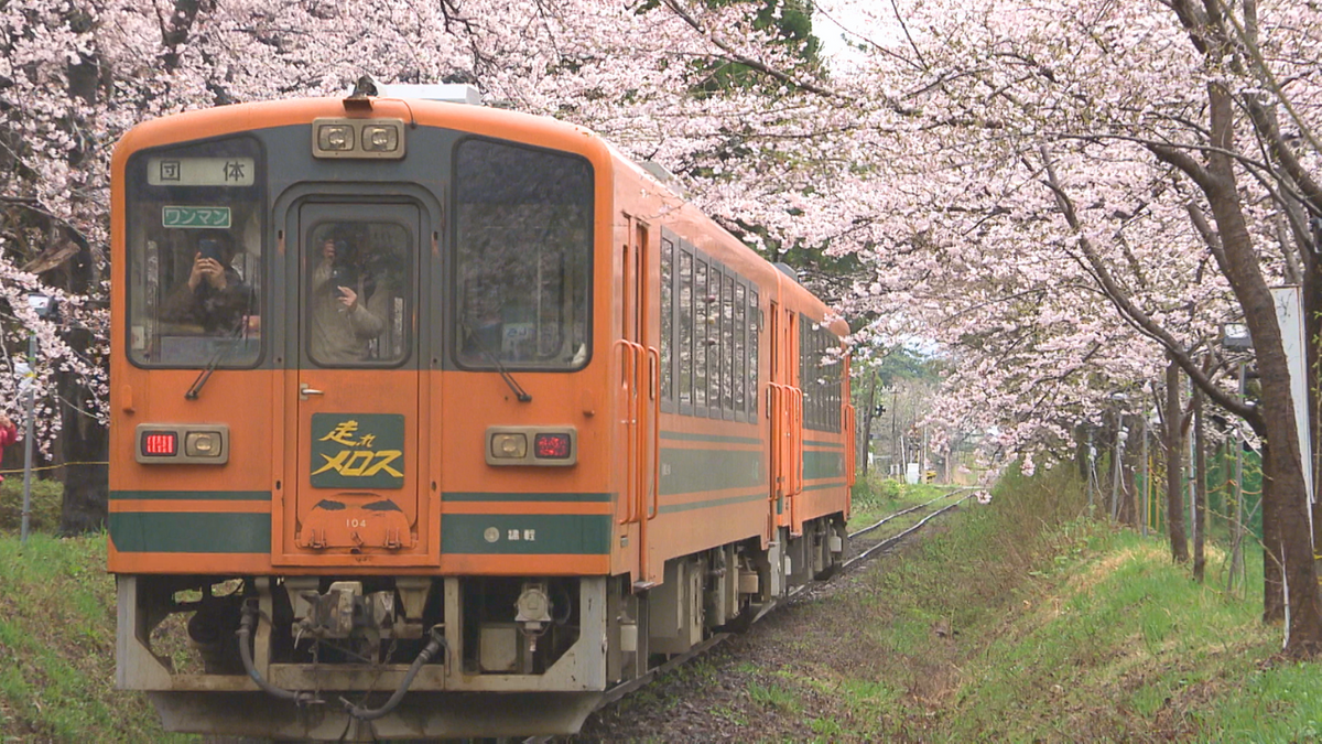 今年は会期と桜の見ごろが「ぴったり」！日本さくら名所100選の芦野公園で金木桜まつり開幕　青森県五所川原市