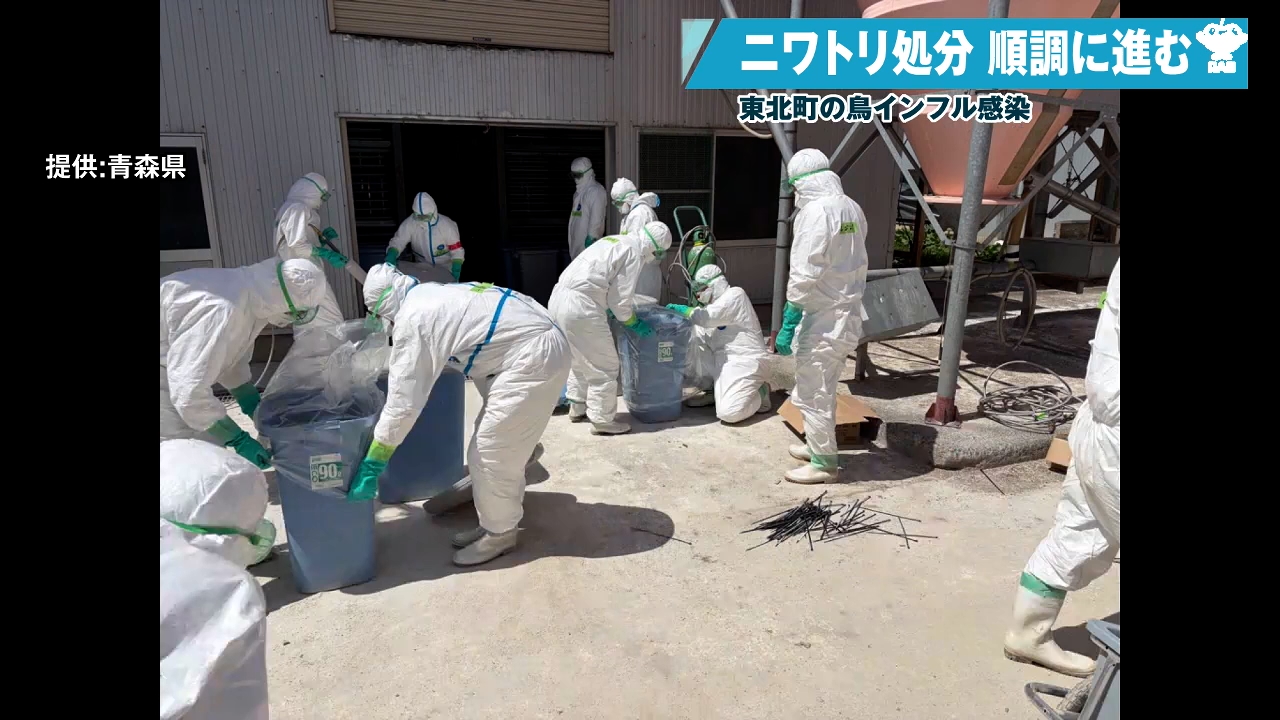 東北町で23万羽の処分進む 24時間体制の防疫措置で当初の予定より1日