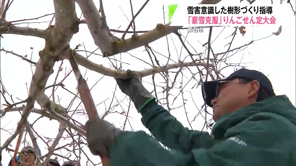 大雪で恒例の「せん定大会」が中止に…りんご生産者たちが学んだ“豪雪克服”のポイントとは？　青森県黒石市　