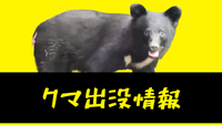 クマ出没情報】7月22日旧野球グラウンド周辺 親子3頭目撃（つがる市