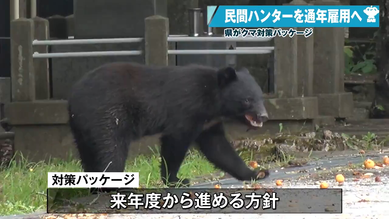 青森県がクマ対策強化 ガバメントハンター通年雇用へ（2026年2月4日