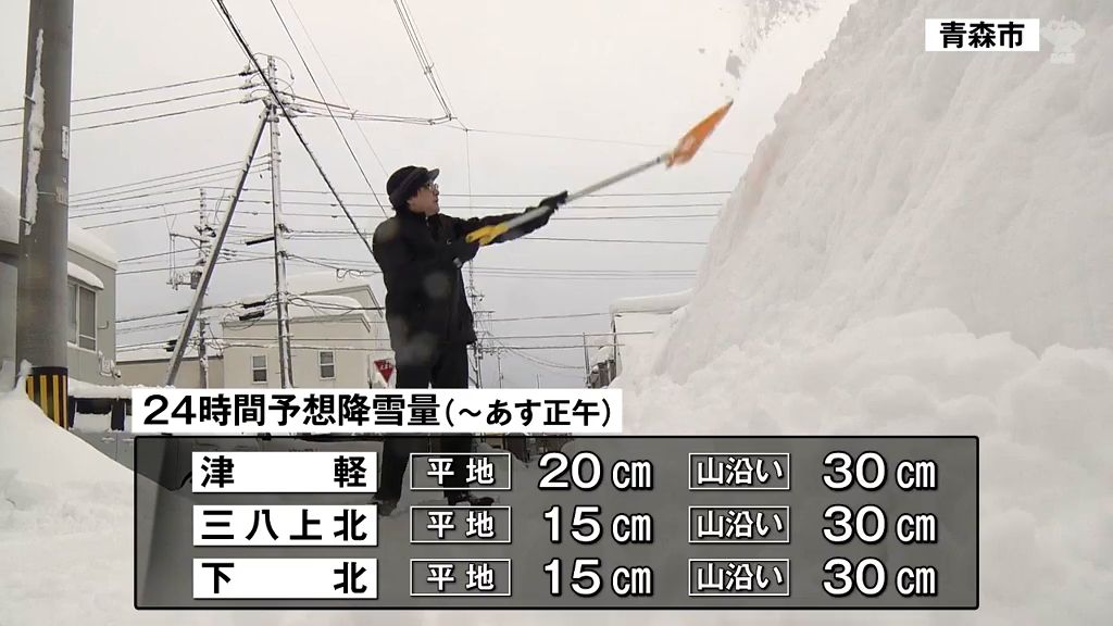 一晩で30センチ降った弘前は1月最多更新　大雪の影響でJRが79本運休など交通に乱れ