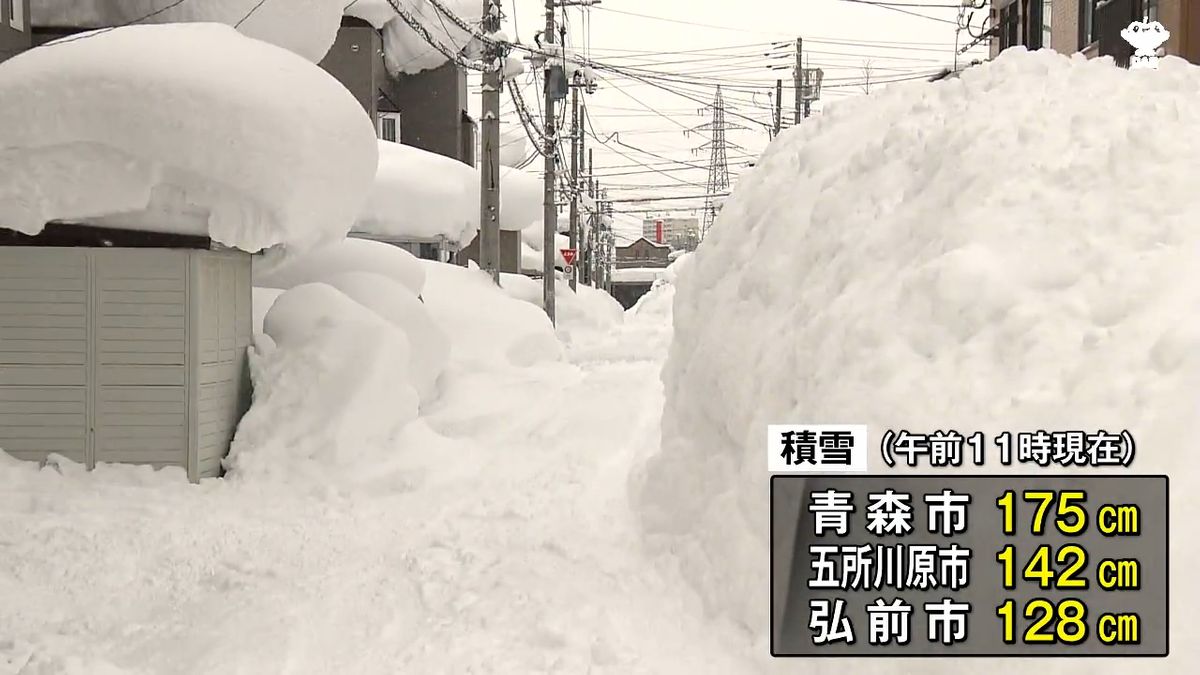 積雪 青森 市