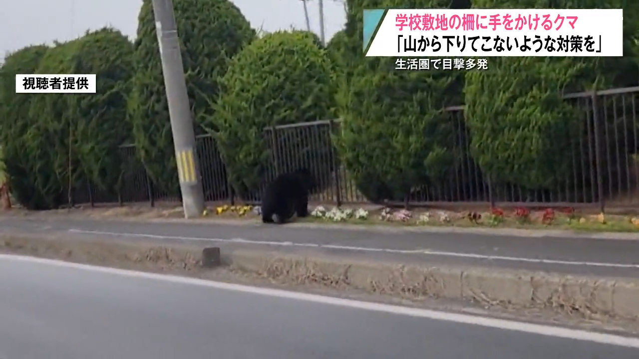 学校の敷地に迫るクマ…八戸市内で目撃相次ぎ「行動範囲広がっている