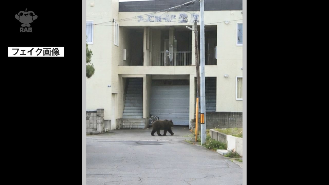 生成AIの“フェイク”クマ画像も…悪質な投稿相次ぐ「くまログ」を県が
